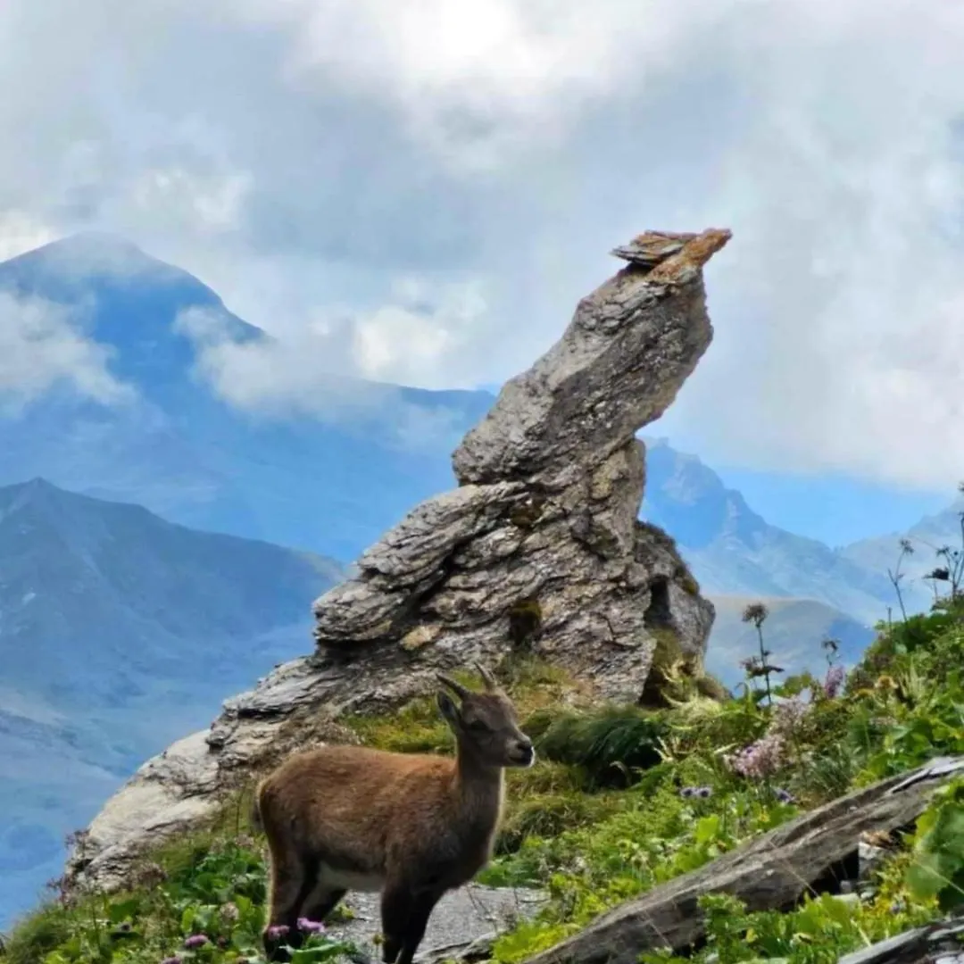Areches, 4 Pers, Telesiege A 5 Mn A Pied, Grande Terrasse En Rdj Διαμέρισμα Beaufort